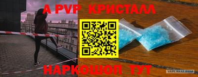 бошки Гатчина