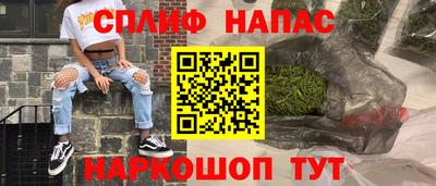 бошки Гатчина