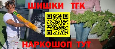 спиды Гай