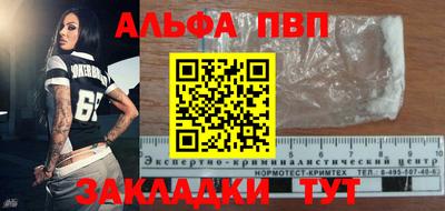 спиды Гай