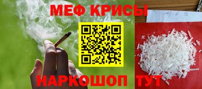 спиды Гай