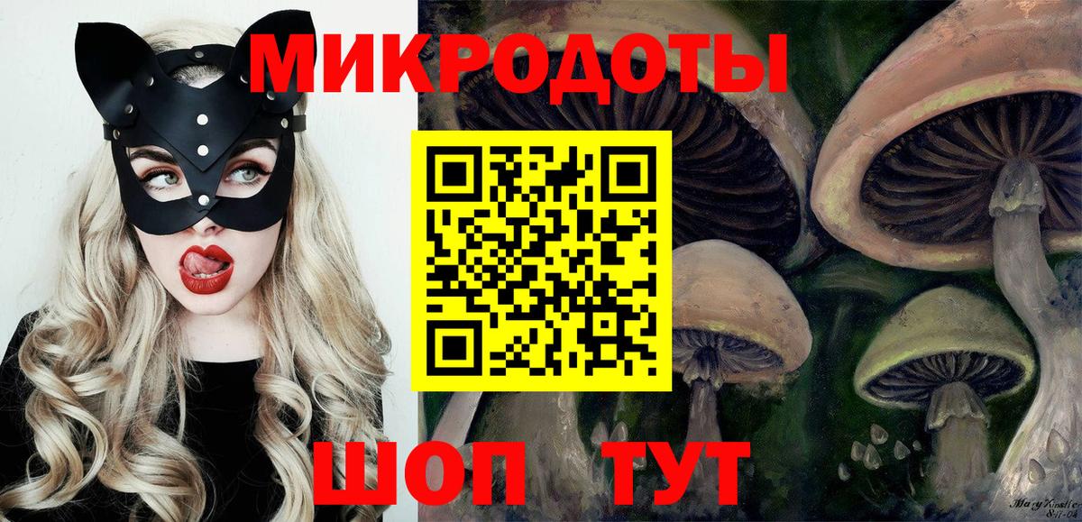 Псилоцибиновые грибы Psilocybe  Вход с VPN  Мценск 