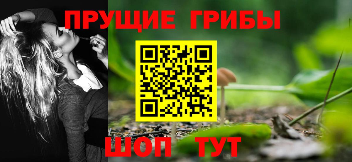 Псилоцибиновые грибы мицелий Мценск